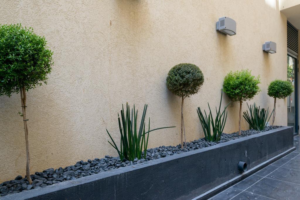 Sunny Luxury Apartments 特拉维夫 外观 照片